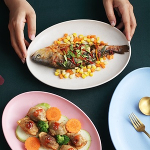 Экологически чистые небьющиеся пластиковые обеденные тарелки из пшеничного волокна овальное блюдо с растительным рисунком для ресторана и вечеринки - Product Image 3