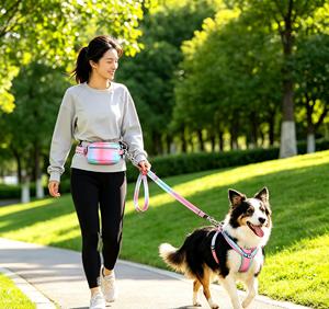 Custom Bungee Dog Leash Set 5 Uses Nylon Cotton <b>Pet</b> Collar <b>Harness</b> With Bibs Poop Bag - Product Image 1