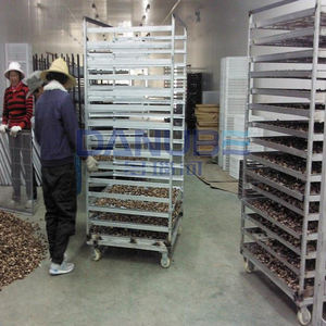 Équipement de séchage de haute qualité pour tomates, concombres, champignons, pommes de terre, courgettes, machine de déshydratation des légumes - Product Image 4