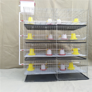 Cage de poulet pour bébé de type H de 45 jours/couveuse/cages de poussins de couche d'un <span class=keywords><strong>jour</strong></span> <span class=keywords><strong>à</strong></span> <span class=keywords><strong>vendre</strong></span> au Zimbabwe - Product Image 2