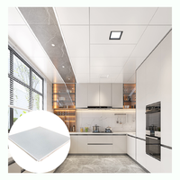 Plafonds suspendus carrés en alliage d'aluminium pour intérieur, finition brossée, faux plafond, bâtiment de bureaux, plafonds perforés