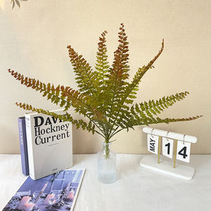 13 feuilles de fougère persane en or de haute qualité exportées au Vietnam meilleur prix compétitif en <span class=keywords><strong>2022</strong></span> avec de nombreux avantages - Product Image 3