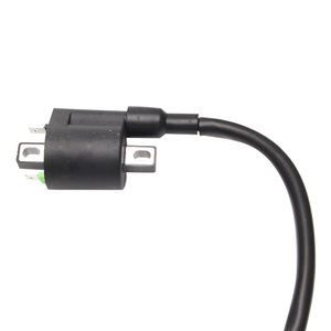 Bobine d'allumage haute tension 125-Ja1-1 pour moto Benelli TRK251 BJ250 TNT25 BN251 - Pièces détachées - Product Image 4