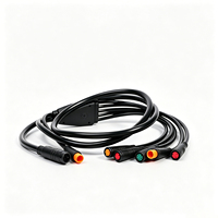 Câble de Faisceau de Câblage Principal pour Vélo Électrique Reliago, Kit de Remplacement du Contrôleur pour Vélo Électrique C29