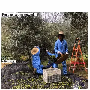 Prix d'usine en Chine Filet de récolte d'olives en PEHD réutilisable pour l'agriculture Filet de collecte d'olives pour les fruits