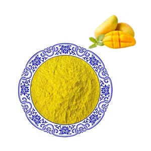 Di alta qualità mango instant liofilizzato in polvere burro di mango crudo biologico succo di Mango in polvere