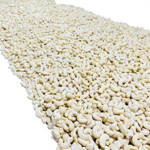 Nuez de Cajú de Vietnam de Alta Calidad W320, W240, LP para Exportación al por Mayor - Product Image 2