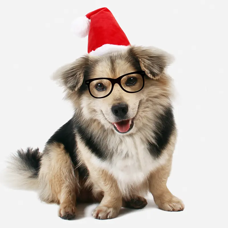 Fábrica Natal Pet Santa Chapéu Confortável Cabeça Desgaste Ajustável Dog Acessórios pet roupas