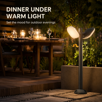Lampe de jardin LED à double tête réglable 20W, étanche IP65, pour allée paysagère