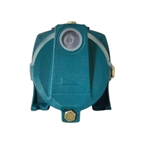 Pompe à eau électrique auto-amorçante OXOUXIANG à jet haute pression 1''x1'', monophasée, 30m de pression, 1HP/75KW, étanche à l'eau, en céramique