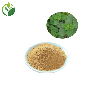 Prix d'usine, poudre d'extrait de feuille de ramie de haute qualité, poudre pure de Boehmeria <span class=keywords><strong>Nivea</strong></span>, extrait de racine de ramie, poudre de feuille de ramie - Product Image 2
