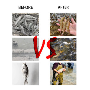 สารเสริมคุณภาพสูงสำหรับอาหาร<span class=keywords><strong>ปลา</strong></span>เม็ด ช่วยเร่งการเจริญเติบโตและเพิ่มน้ำหนัก  กรดอะมิโนเกรดอาหารสัตว์ ตราสตาร์โดมเทรด - Product Image 5