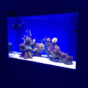 Lampe pour aquarium, éclairage d'aquarium à spectre complet pour coraux et <span class=keywords><strong>eau</strong></span> <span class=keywords><strong>de</strong></span> <span class=keywords><strong>mer</strong></span>, éclairage paysager à clipser pour plantes aquatiques - Product Image 3
