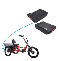 2023 nouvelle batterie de Tricycle Shanshan 2 Sse-198 3 roues batterie électrique pour Tricycle électrique Cargo Tricycle batterie au Lithium