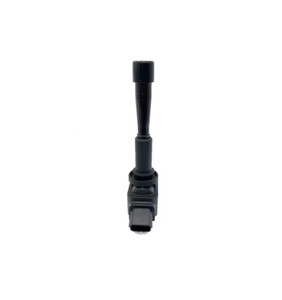 Zündspule für DAT150250200 DAED119826 Hawta E80 1.5T Santa Fe <span class=keywords><strong>5</strong></span> 1.5T Landwind XIAOYAO 1.5T - Product Image 3