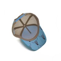 Casquette de camionneur personnalisée à profil haut, 5 panneaux, couleur vive, réglable, en maille, casquette de baseball à visière incurvée, casquette de camionneur imprimée