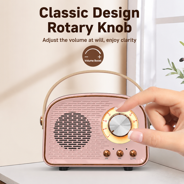 DW21  Speaker Desktop & Handheld Bass Speaker, Retro Style, High-Aesthetics Compact  Speaker