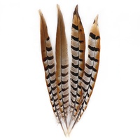 Vente directe d'usine Reeves plumes de faisan grand 35-40CM carnaval casque artisanat motif brut Table déco Costume