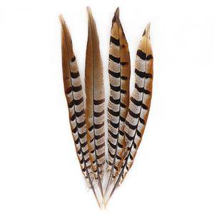 Vente directe d'usine Reeves plumes de faisan grand 35-40CM carnaval casque artisanat motif brut <span class=keywords><strong>Table</strong></span> déco Costume - Product Image 4