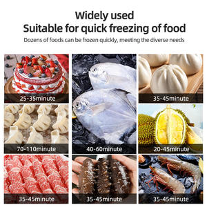 ثلاجة للعمل مبرد بالهواء-45 ℃ 12 صواني 500L دوريان سريع التجميد يدعم المأكولات البحرية OEM - Product Image 2