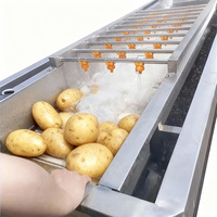 Automatische Bubble Surfing Fruitwasmachine voor fruit en groenten