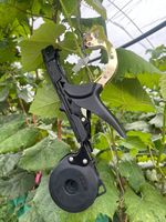 Machine professionnelle OEM en acier inoxydable pour le ligaturage des plantes, idéale pour le soutien des vignes, tomates, concombres et poivrons