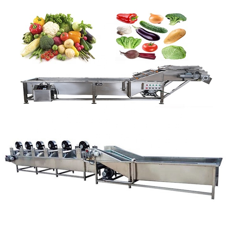 Industrial Fruit Washer Leaf Vegetable Washing