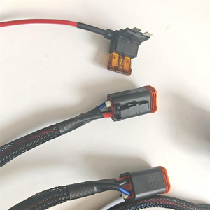 Elektronik Otomotif Perakitan Kabel Kustom Universal 3m Produsen Kabel dan Harness Lampu dengan Relay dan Sakelar - Product Image 4