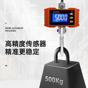 Báscula electrónica colgante OCS de 1000 kg con pantalla directa para pesaje industrial - Product Image 1