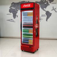 Réfrigérateur Vitrine à Porte Simple en Verre, Refroidissement Direct Électrique, Armoire Réfrigérée pour Boissons, Utilisation Extérieure, Camping-Car, Maison