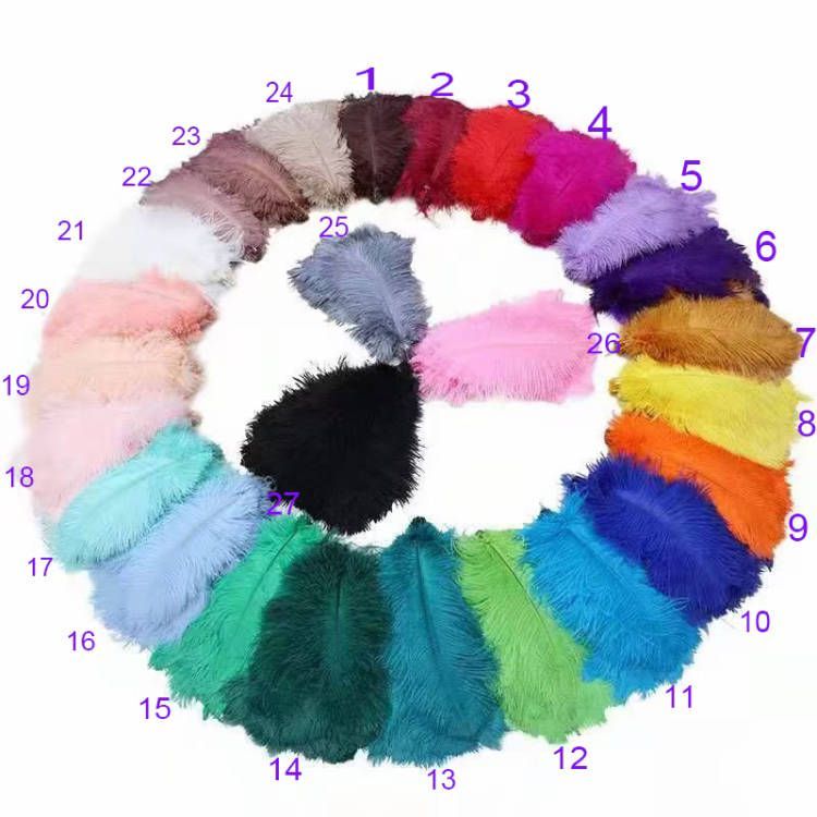 cartella colori
