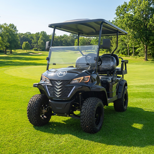 Carrito de Golf de 4 Plazas con Batería de Litio y Capacidad de 650 kg para Uso en Terminales - Product Image 1