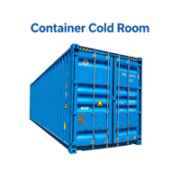 Conteneur frigorifique solaire High Cube 40HQ avec réfrigération sur réseau, congélation profonde -18°C, unité de condensation Emerson, panneaux PU personnalisés, automatique