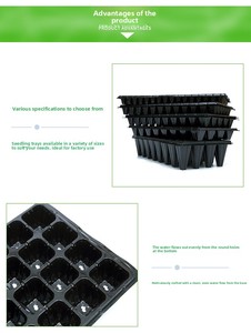 Plateaux de semis pour légumes et fruits X155, plateaux <span class=keywords><strong>en</strong></span> plastique épais pour jardin, ensemble de plateaux de semis - Product Image 4