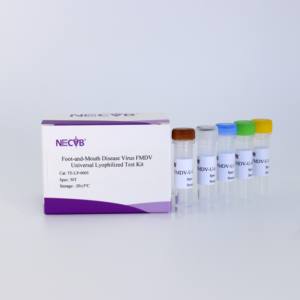 Kit de PCR do vírus da febre aftosa liofilizado (baseado em sonda, 50 testes) - Product Image 4