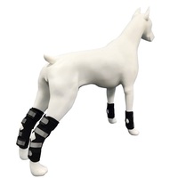Attelle de protection pour genou arrière de chien en néoprène, directement de l'usine, pour blessures au ligament croisé avant (LCA)