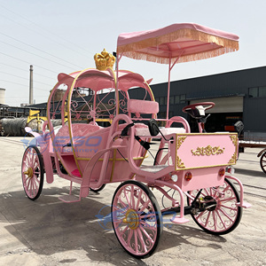 XCEGO Electric 2026 Carrosse Citrouille Européen pour Mariages et Visites Touristiques, Décoration de Fête Magnifique, Transport Spécial pour Confiseries - Product Image 2