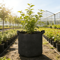 Sacs de culture de grande capacité, pots de plantes en tissu résistant pour la serre de jardin