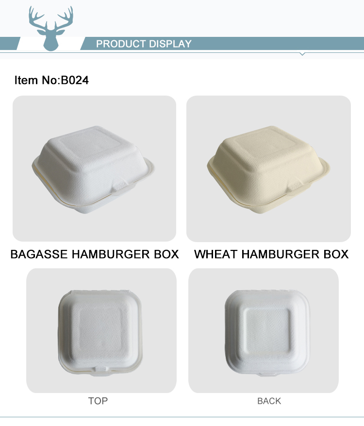 Scatola Burger Bioali 152x152x44/75 Mm - Biodegradabile In Canna Da Zucchero, Eco-Friendly - Foto 9