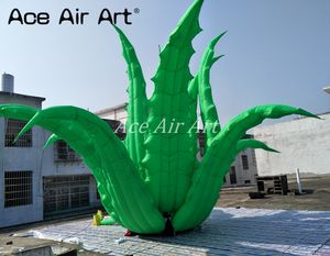 <span class=keywords><strong>Aloe</strong></span> Vera inflable de 8 m de diámetro, modelo de planta <span class=keywords><strong>gigante</strong></span> de pie, decoración para fiestas y eventos, Material Oxford, accesorios para Sopladores de aire - Product Image 3