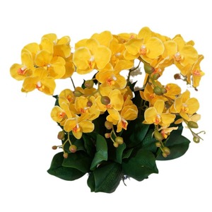 Artificial Phalaenopsis Orchid 65cm Two Fork <b>Miniature</b> For Wedding Home Decor - Product Image 5