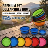Bol pliable pour chien en silicone TPE personnalisé avec logo, portable, pour voyage, eau et nourriture, gamelle pour animaux de compagnie