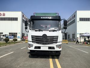 Dongfeng <span class=keywords><strong>200</strong></span> - 450hp Diesel 6x4 Nouvelle condition Gauche-Droite Transmission manuelle Bras de traction Camion à ordures Camion à benne basculante - Product Image 3