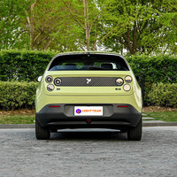 Nouvelle Voiture Électrique SUV Mini Gee-ly Firefly 2026, 5 Places pour Adultes, Véhicule Électrique