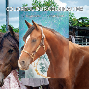 สายจูงม้าคุณภาพสูง สีสันสดใส ทนทาน พร้อมอุปกรณ์หนัง แบรนด์ Henthane รุ่นทันสมัย - Product Image 2