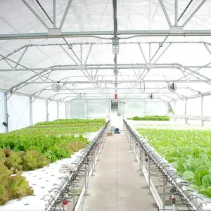 automatic industrial greenhouse agriculture with blackout system