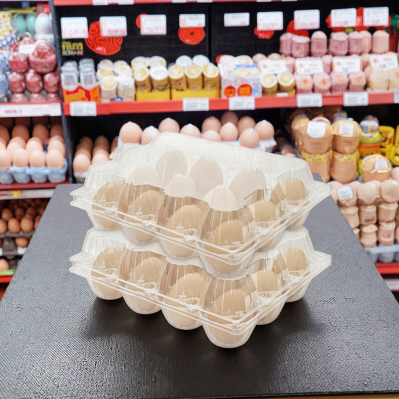 Large Transparent Plastic Egg Container Trays