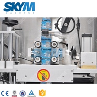 Machine de dépose de colle pour emballage bouteilles, thermofusible, Type linéaire, OPP
