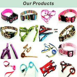 Collar de perro liso de poliéster/nailon de alta calidad - Product Image 5