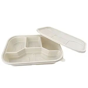 3 4 5 scomparti 1000ml eco friendly biodegradabile imballaggio usa e getta amido di mais da asporto bento lunch box contenitore per alimenti